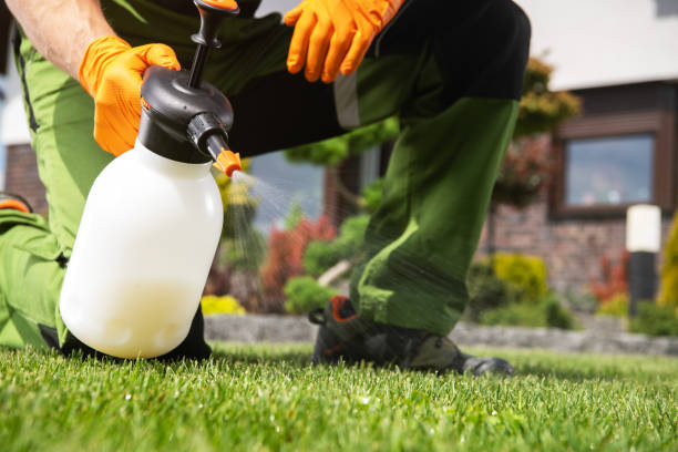 Best Mosquito Control Services  in Jarrettsville, MD