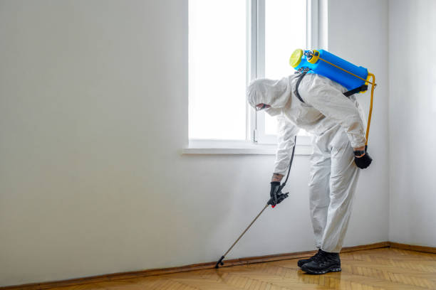 Best Pest Control Treatment  in Jarrettsville, MD