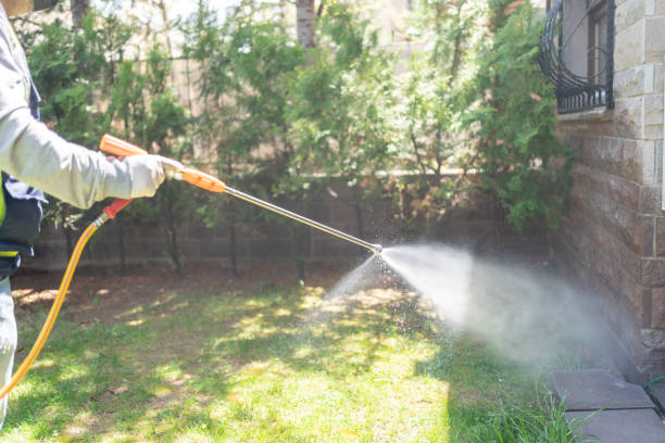 Best Local Pest Control Services  in Jarrettsville, MD