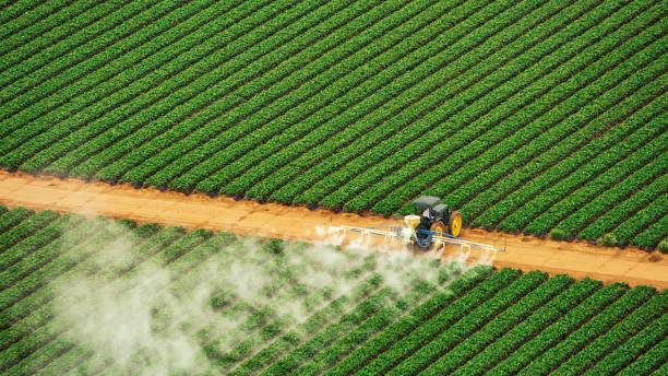 Best Commercial Pest Control Services  in Jarrettsville, MD