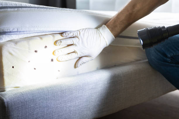 Best Affordable Pest Control Services  in Jarrettsville, MD