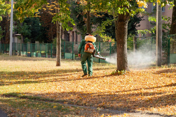 Best Residential Pest Control  in Jarrettsville, MD